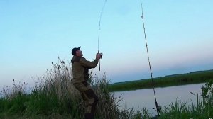 МЫ НЕ ОЖИДАЛИ ТАКОГО КЛЕВА В ЖАРУ! РЫБАЛКА НА САЗАНА! Рыбалка на донки,Рыбалка 2024