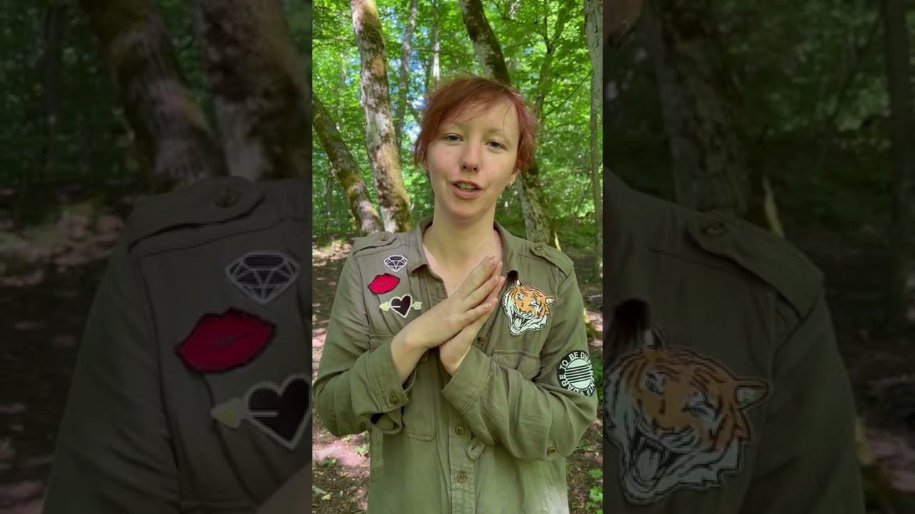 Отзыв турклуба Гора. Поход на Большой Тхач смотреть онлайн