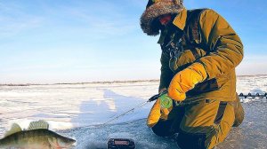ПРИШЕЛ НА ПЕРВЫЙ ЛЕД НА ВОДОХРАНИЛИЩЕ!РЫБАЛКА С ЭХОЛОТОМ ПРАКТИК 6М НА СУДАКА!!!ОВХ