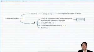 Helminths-2 : Tapeworms (Cestodes) and Flukes (Trematodes): 2022 update