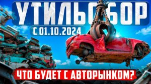 УТИЛЬСБОР 2024! ЧТО БУДЕТ С АВТОРЫНКОМ?! Мнение эксперта.