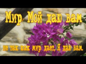 Мир Мой даю вам; не так как мир дает, Я даю вам.