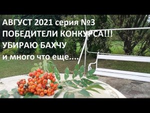 Август 2021 серия №3. Убираю бахчу. Уход за кабачками.