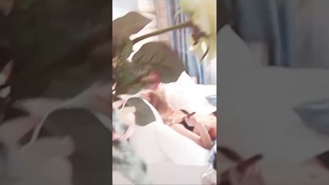 NEW DAY  Тинто Брасс