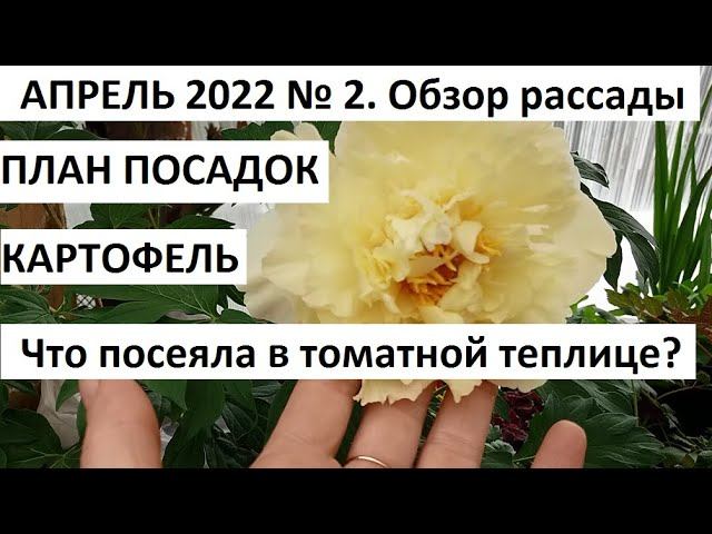 Весенние работы в саду  теплице.