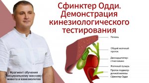Сфинктер Одди. Демонстрация кинезиологического тестирования.Фрагмент обучения