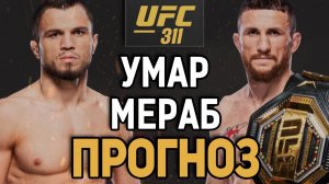 МЕРАБА НЕДООЦЕНИВАЮТ?! Умар Нурмагмедов vs Мераб Двалишвили /  Прогноз к UFC 311