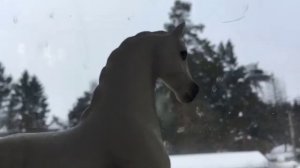 Типы жеребят|| Schleich || Ka Roma