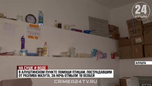 Более трёх сотен пострадавших от мазута птиц спасли волонтёры Алуштинского центра помощи