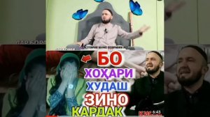 БО ХОХАРИ ХУДАШ ЗИНО КАРД😱😭- ДОМУЛО АБДУЛКОДИР 2023!!