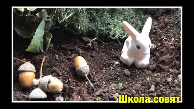 сенсорная коробочка. сделай сам