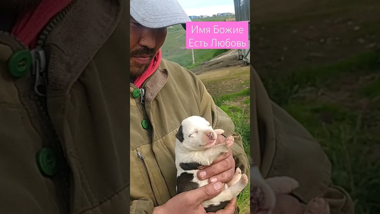 Имя Божие Есть Любовь