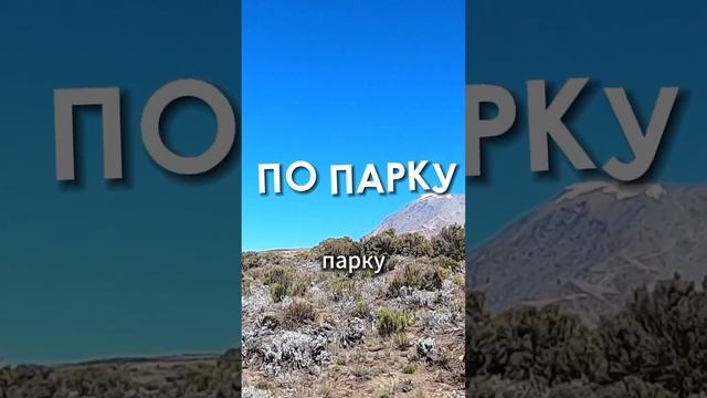 ТРЕШ на Килиманджаро. Высота 4700 метров