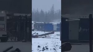 20 ноября 2023 г. Медведь загрыз двух человек в вахтовом поселке в Якутии.