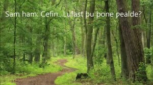 Диалог двух мужчин на древнеанглийском языке (5-12 века)