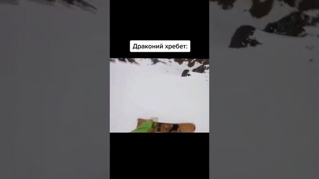 собака стала снеговиком