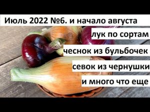 Июль 2022 №6 и начало августа. Лук по сортам. Урожай чеснока и многое другое.