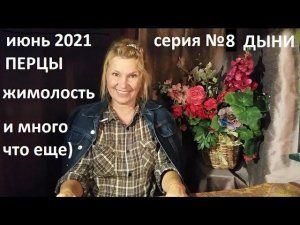 Июнь 2021 серия №8. Уход за перцами. Жимолость. Дыни.