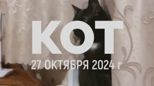 Стихотворение "Кот"
