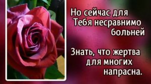 46 В багрянице стоишь Ты (-)