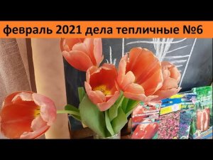 Февраль 2021 дела тепличные № 6.