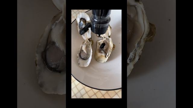 Морж, Плотник и устрицы#shrots