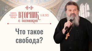 «О свободе». Вторник с батюшкой. Беседа с прот. Андреем Лемешонком 14 января 2025 г.