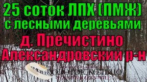 Участок 25 соток в деревне Пречистино,около деревни Редриковы горы, Александровский район