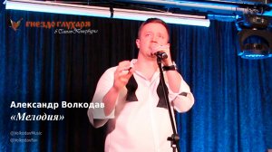 "Мелодия" Александр Волкодав "Гнездо глухаря" Санкт-Петербург 10.02.24 #питер #голос #концерт #live