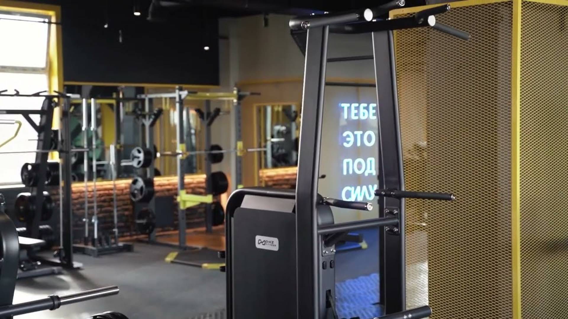 Гравитрон. Турник, брусья с противовесом DHZ E-7009 смотреть онлайн