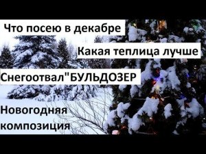 Что посеять в декабре. Снегоотвал  UNIKIT. Какая теплица лучше?