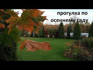 Прогулка по осеннему саду.