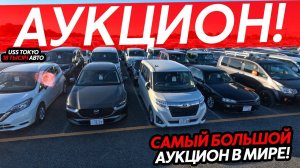 САМЫЙ БОЛЬШОЙ АВТОМОБИЛЬНЫЙ АУКЦИОН В МИРЕСКУПАЕМ АВТОМОБИЛИЛЕГЕНДАРНЫЕ АВТО❗️JDM НА АУКЦИОНЕ⁉️