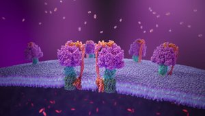 Molecular_demo