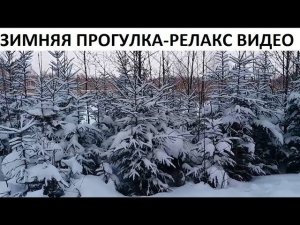 Зимняя прогулка - релакс видео.