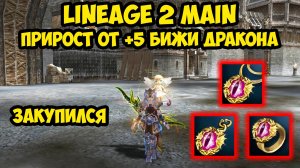 Какой прирост получу с +5 бижи дракона в Lineage 2 Main.
