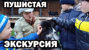 Смотрим ездовых собак на базе "Большие коты" в Горном Алтае. Радуются все: дети и пушистые питомцы