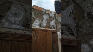 Муравьи в утеплителе