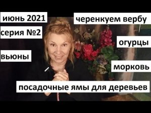 Июнь 2021 серия №2. Черенкуем вербу. Уход за морковью и огурцами. Почему не растут деревья?