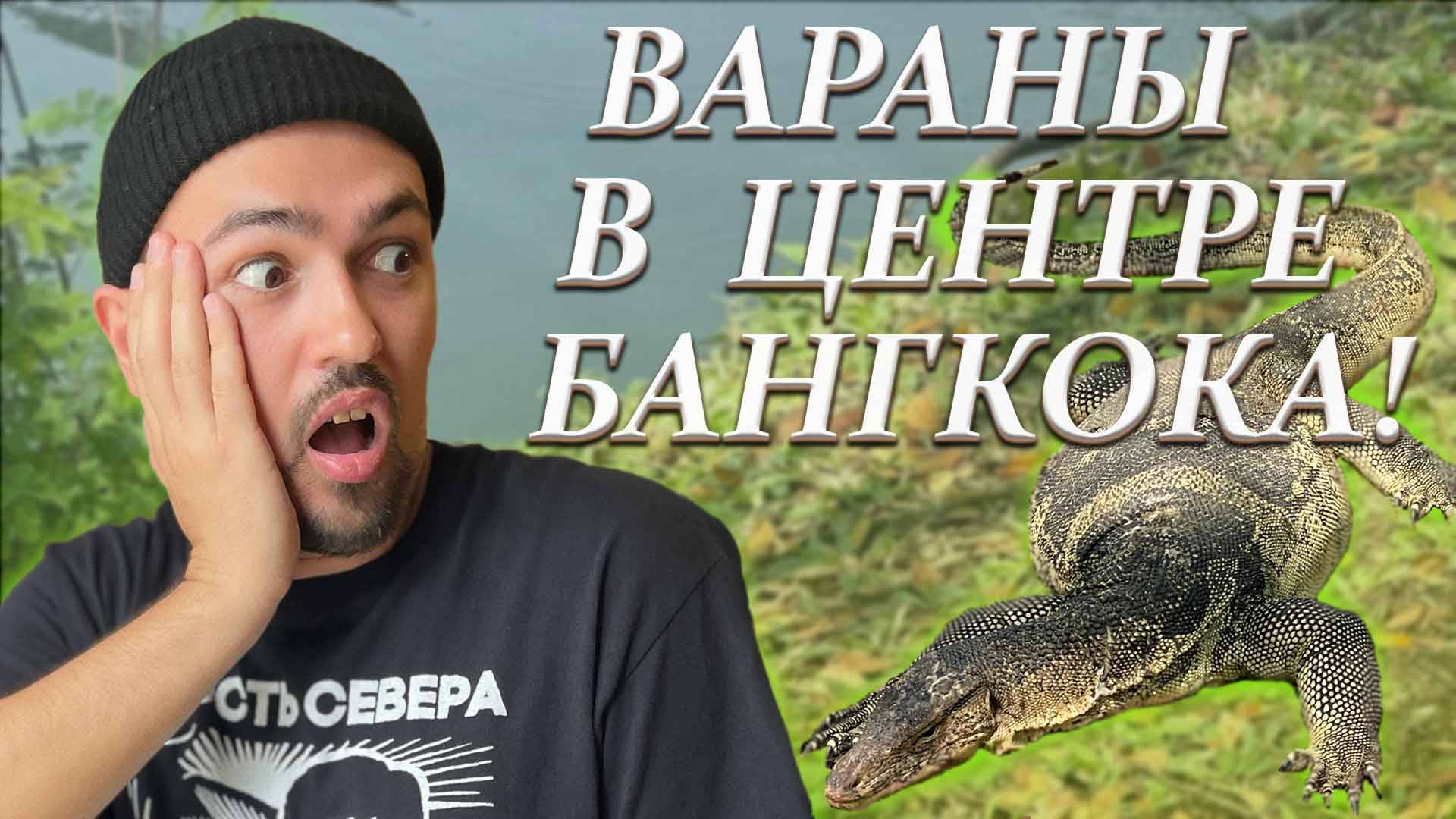 БАНГКОК VLOG: ХРАМЫ, ТОРГОВЫЕ ЦЕНТРЫ, ПАРК С ВАРАНАМИ, КАОСАН-РОУД