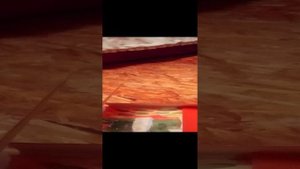 1000003394.mp4