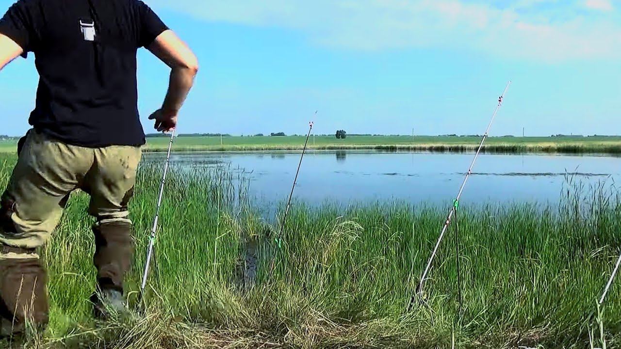 ТОЛЬКО ЗАКИНУЛ И СРАЗУ ТАЩИТ В ТРАВУ!КРОКОДИЛЫ! РЫБАЛКА НА ДОНКИ! рыбалка 2023 смотреть онлайн