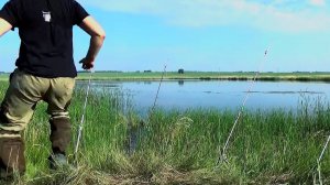 ТОЛЬКО ЗАКИНУЛ И СРАЗУ ТАЩИТ В ТРАВУ!КРОКОДИЛЫ! РЫБАЛКА НА ДОНКИ! рыбалка 2023