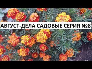 Август -дела садовые серия №8