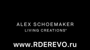 video-output-AF03AFEF-2B6F-43F8-9107-63D14B28F933