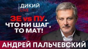 Чем дальше, тем страшнее… Андрей Пальчевский. Дикий LIVE.