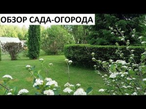 Обзор сада  по временам года)