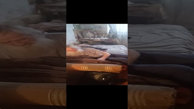 белочка пришла