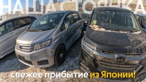 САМЫЕ ПОПУЛЯРНЫЕ АВТО ИЗ ЯПОНИИ СВЕЖЕЕ ПРИБЫТИЕ FREED STEPWGN FIELDER ROOMYЦЕНЫ ОТ 730 ТЫСЯЧ❗️