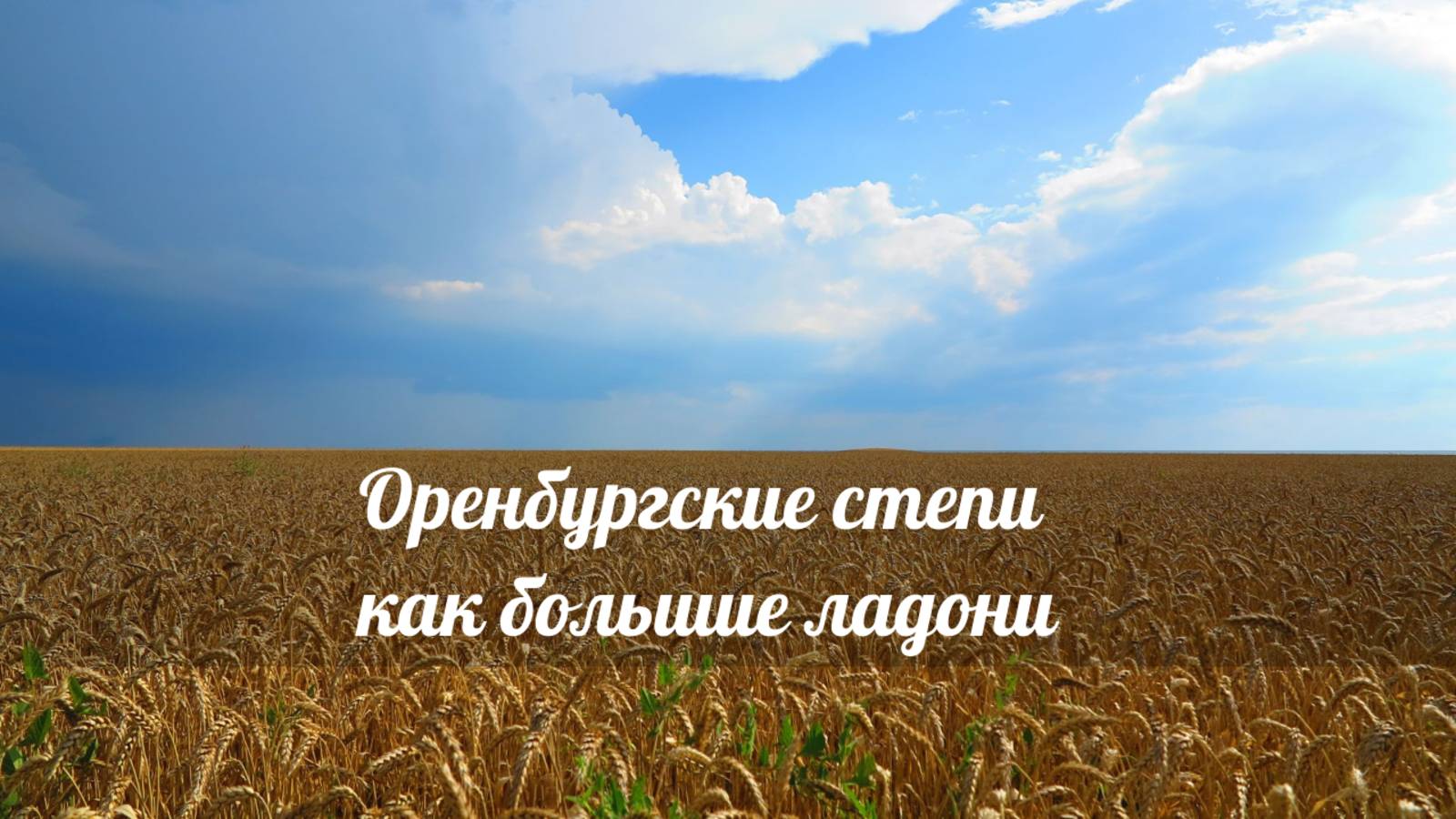 Оренбургские степи как большие ладони.  #оренбургскиестепи #родноеоренбуржье #роднаяземля #родина